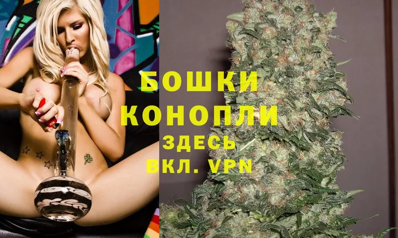 Шишки марихуана THC 21%  где найти наркотики  MEGA зеркало  Аргун 